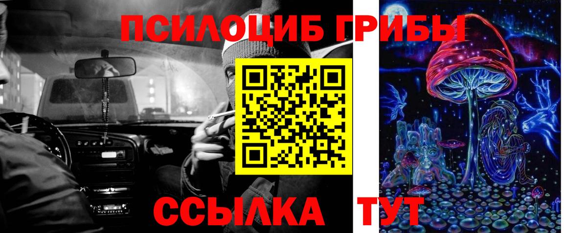 Долгопрудный  купить   Вход с VPN  Галлюциногенные грибы мухоморы 